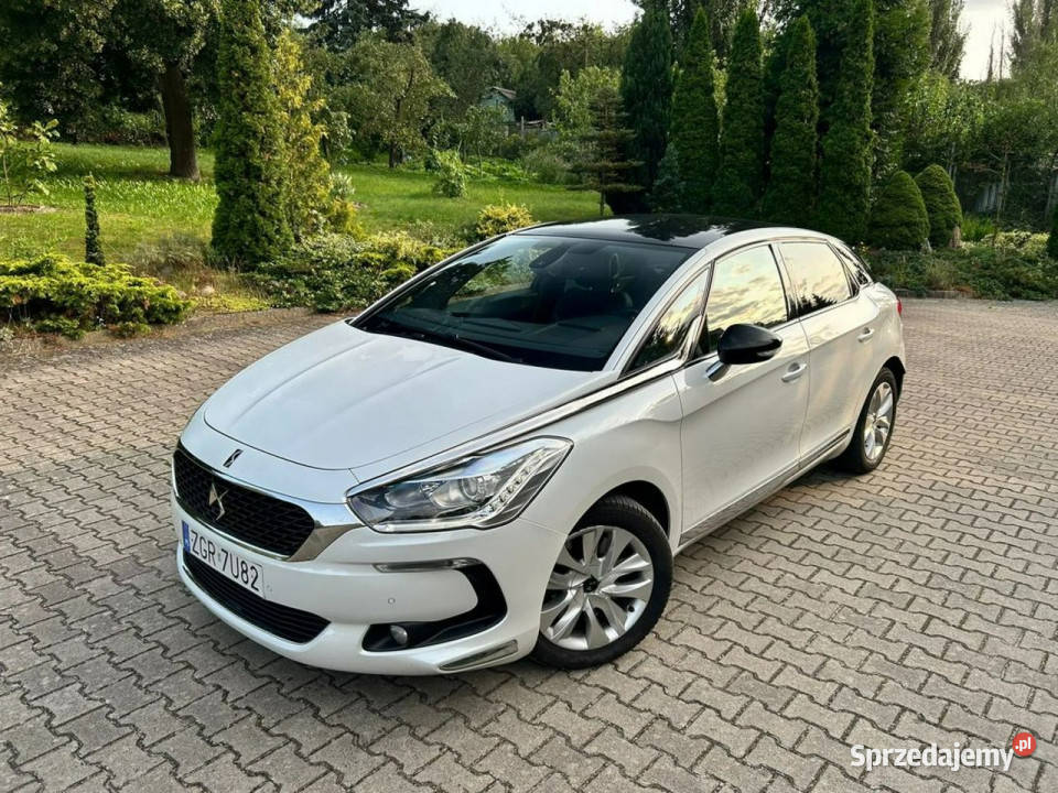 DS Automobiles DS 5 DS 5 20 BlueHDI Panorama DS 5 zachodniopomorskie