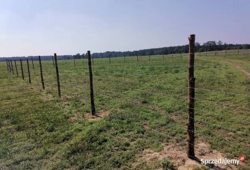 Płot Panelowy Ogrodzenie panelowe betonowe wielkopolskie Konin