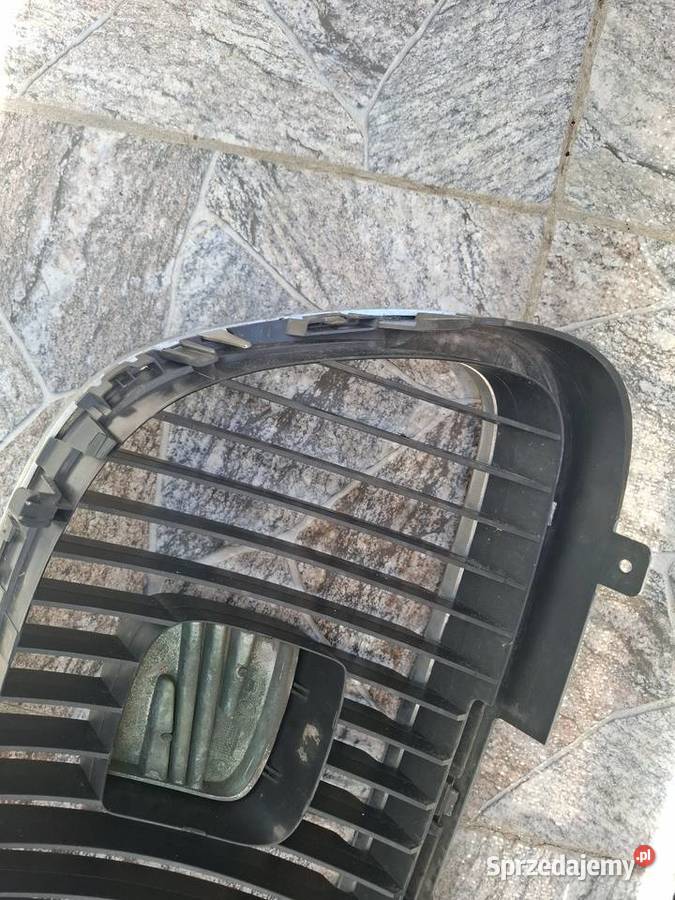 Grill seat leon 2