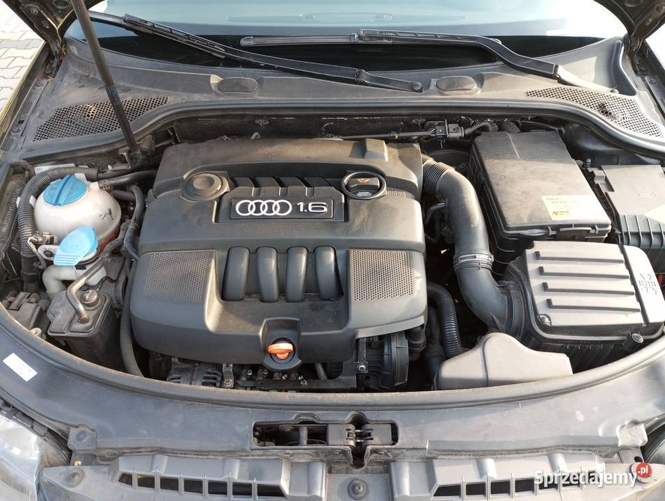 Audi A3 sporbek 16 MPI aluminiowe felgi Bydgoszcz