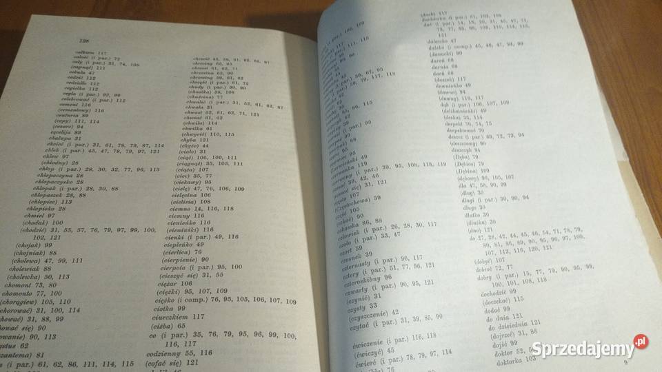 Charakterystyka fonetyczna gwar między Wisłą