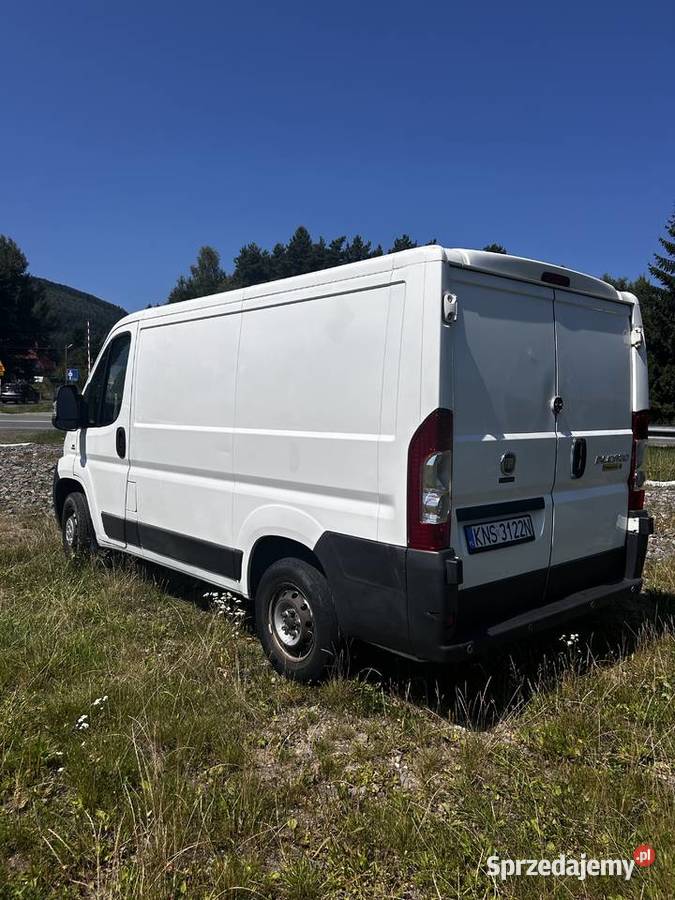 Fiat Ducato nieuszkodzony Niedźwiedź