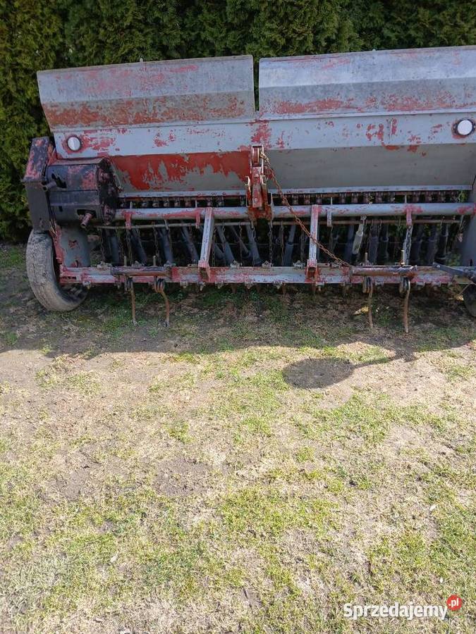 Siewnik Poznaniak Siewniki Chełm