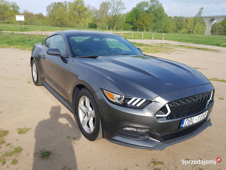 Ford Mustang sportowy wydwch 320KM Bolesławiec