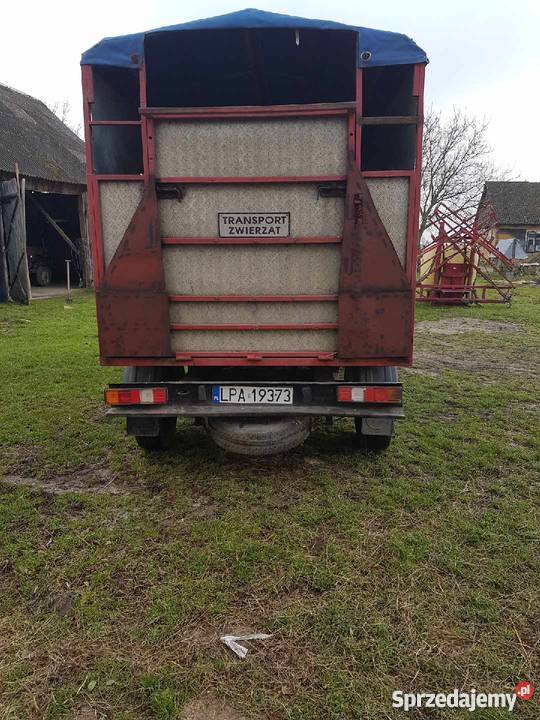 Ford Transit 24D dostawczy do przewozu zwierząt nieuszkodzony Parczew