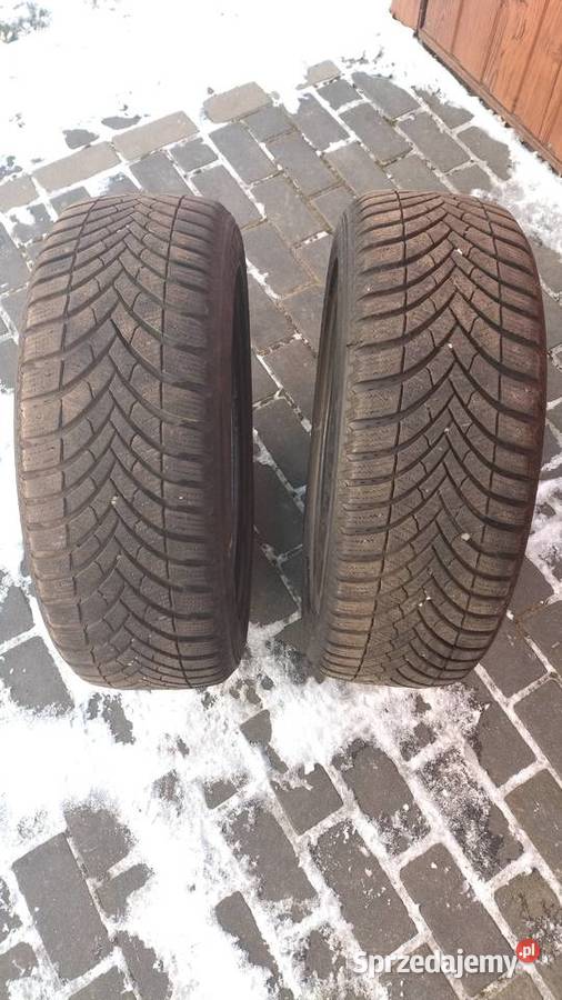 Opony 2 2055517 Semperit Speed grip 5 2023 Pobiedziska