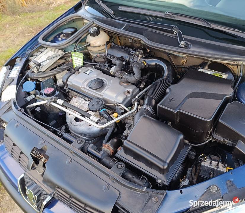 Peugeot 206 14 8V 75 148000 2005 z Niemiec immobilizer Przeworsk sprzedam