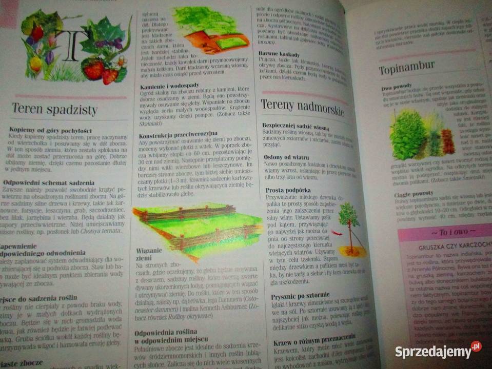 1001 sposobów na piękny ogród ogrodnictwo ogród Łódź sprzedam