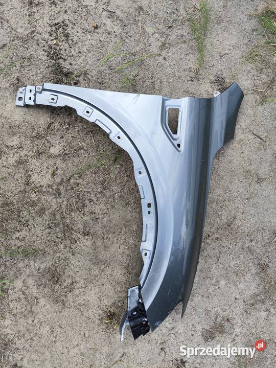 Błotnik prawy przód Błotniki wielkopolskie Ostrów Wielkopolski