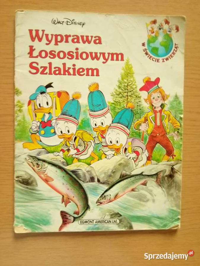 Wyprawa łososiowym szlakiem Kaczor Donald 1993r śląskie Dąbrowa Górnicza