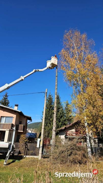 Usługi Ogrodnicze Wertykulacja wycinki drzew Bielsko-Biała