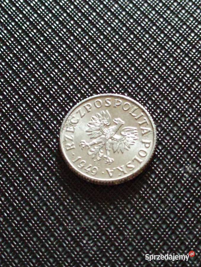 Sprzedam trzeci 1 grosz 1949 r bzm Chełm