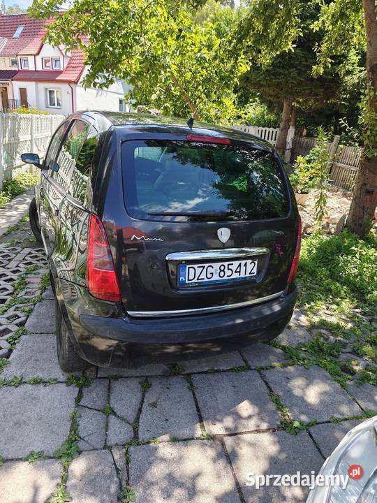 Sprzedam Lancia Musa 14 2004r Bogatynia