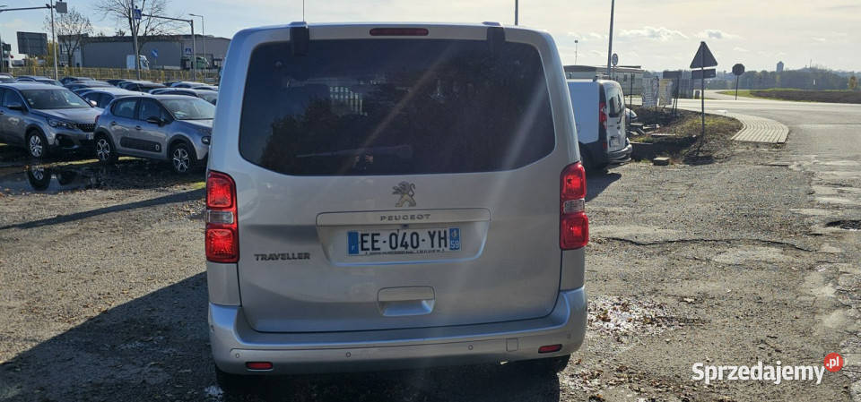 Peugeot Expert 20 hdi exclusive II 2007 Expert wielkopolskie Pleszew