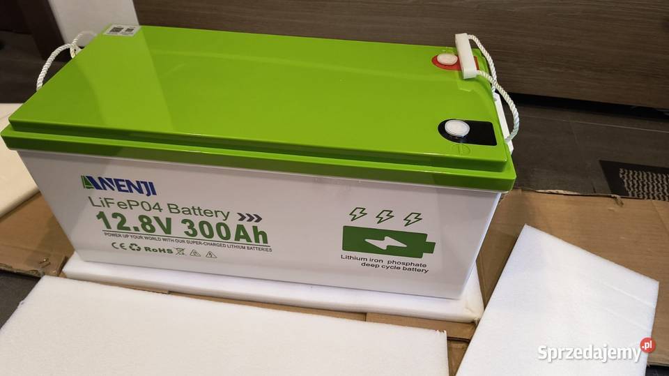 Akumulator LiFePo4 Anenji 128V 300Ah prawie nowy Rybnik