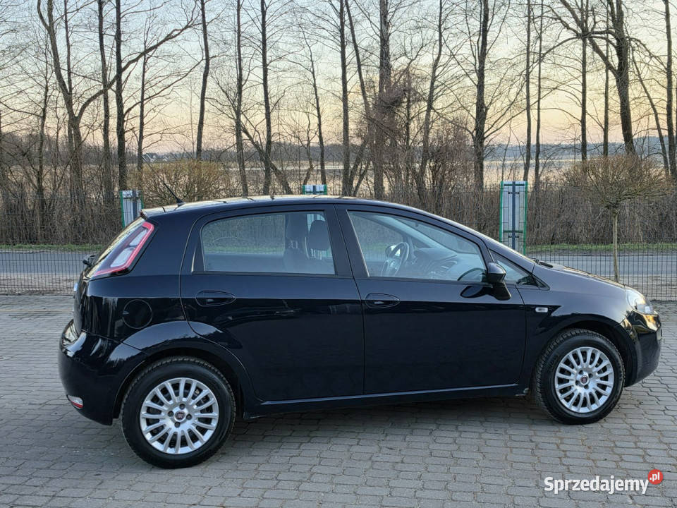 Fiat Punto Evo 14 8V Benzyna Salon Iwłaściciel 5 VAT marża Punto Evo Skępe sprzedam