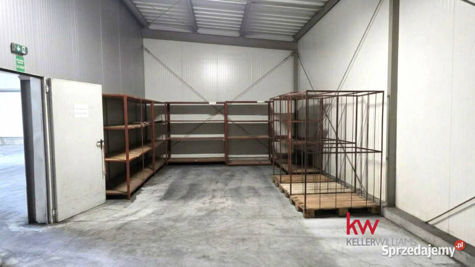 sprzedaży lokalu Wągrowiec 3282 metry 3282m2