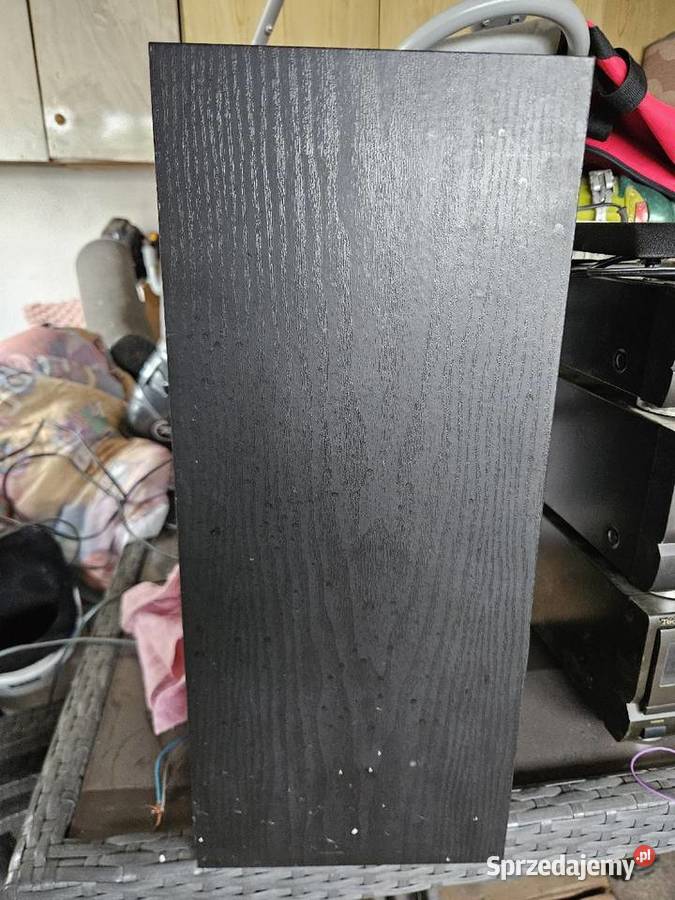 Kolumna Głośnik Sony SSA 509 Elektronika śląskie