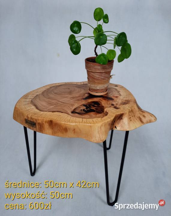 Stolik kawowy plaster drewna wiąz loft Długołęka sprzedam