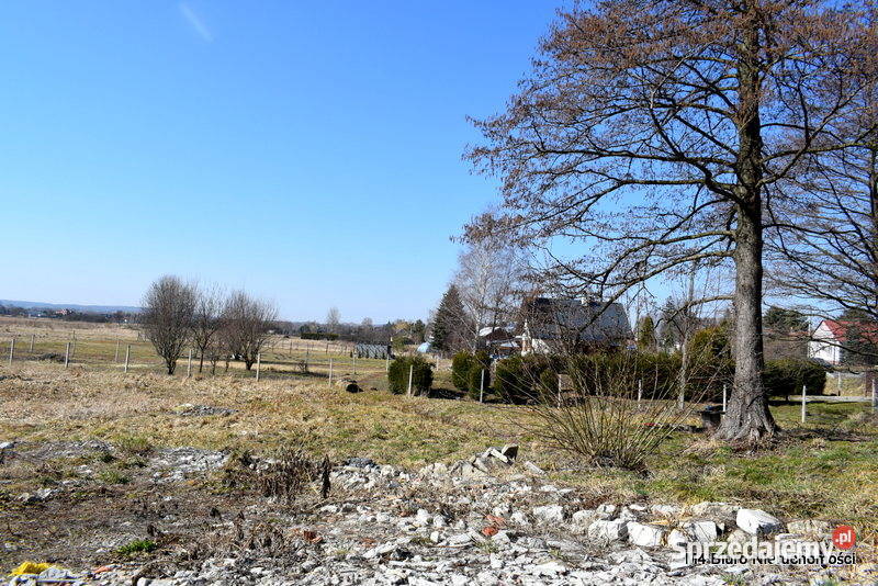 DZIAŁKA W DOBIESZYNIE POD BUDOWE DOMU 1600m2 Dobieszyn