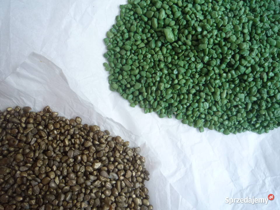 Ogród Las w szkle w słoiku