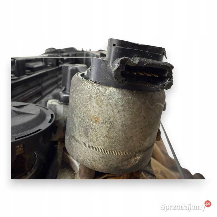 SILNIK RFN Peugeot 206 307 407 Expert Citroen C4 lubelskie Chełm