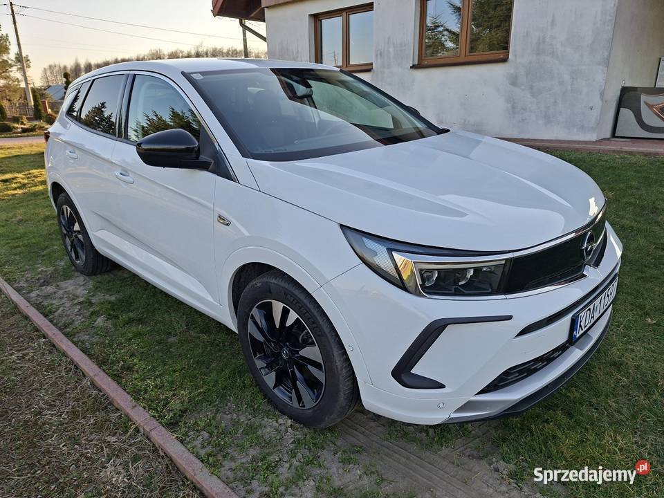 Opel Grandland x Tarnów