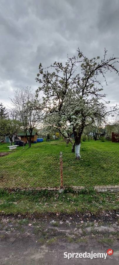 Działka ROD Targowa sprzedam