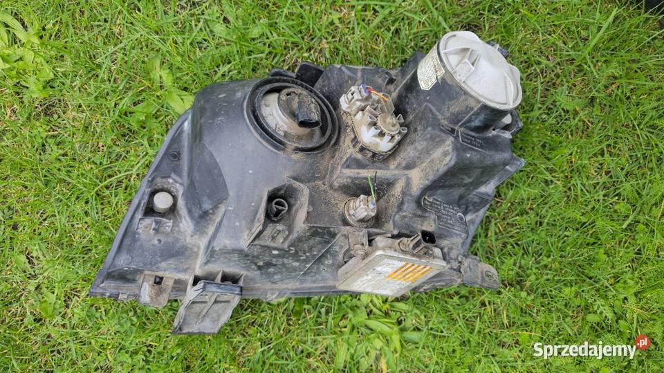 Lampa prawy przód prawa Xenon Europa Suzuki osobowe dolnośląskie sprzedam