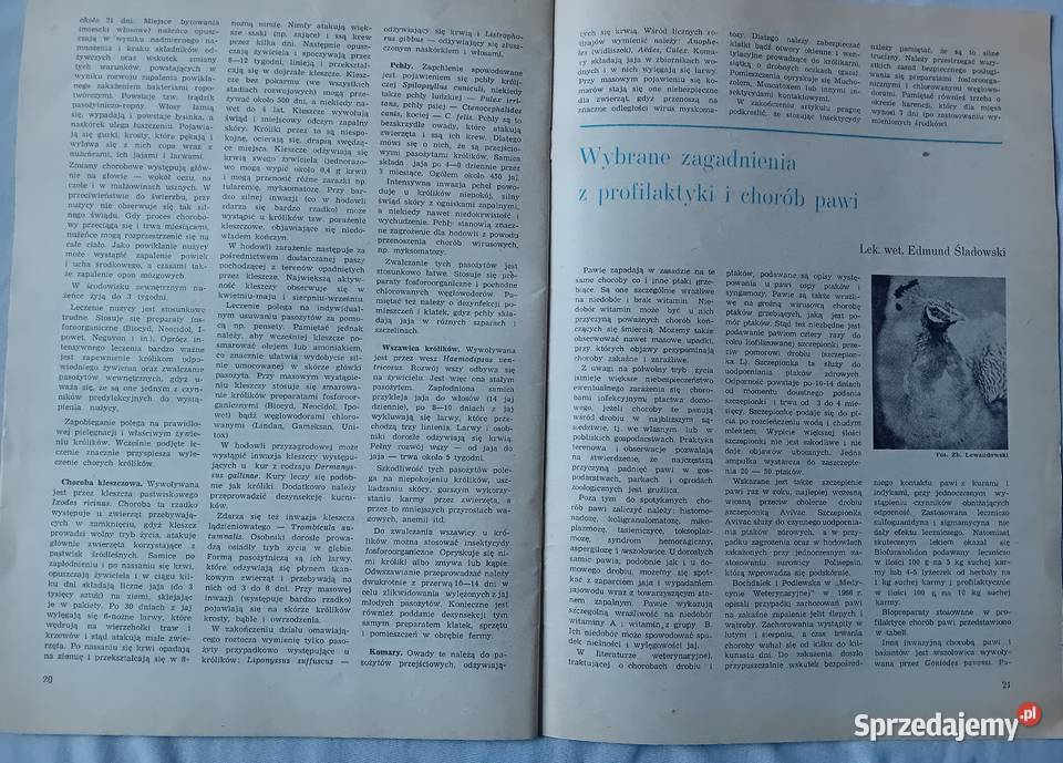 Hodowca Drobnego Inwentarza 12 1983 r Koźminek