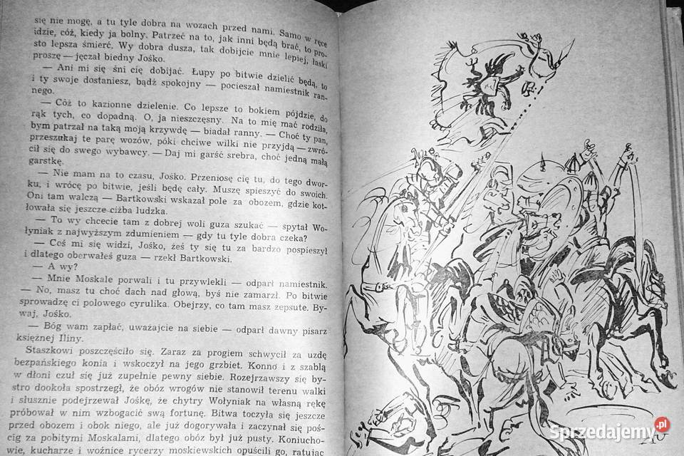 Wieża czarnej księżniczki Janusz Teodor Dybowski Chełm