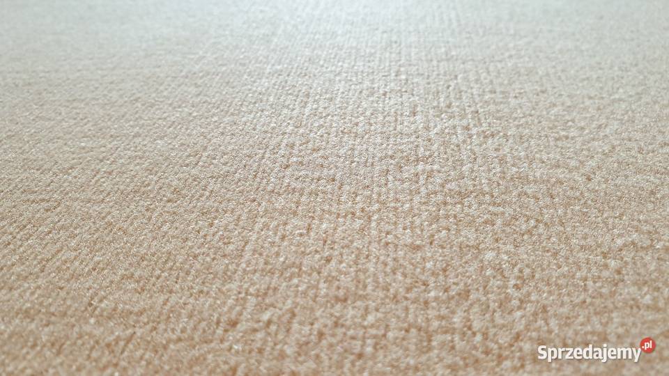 Szwajcarska wykładzina dywanowa szer 5m Miejsce Piastowe