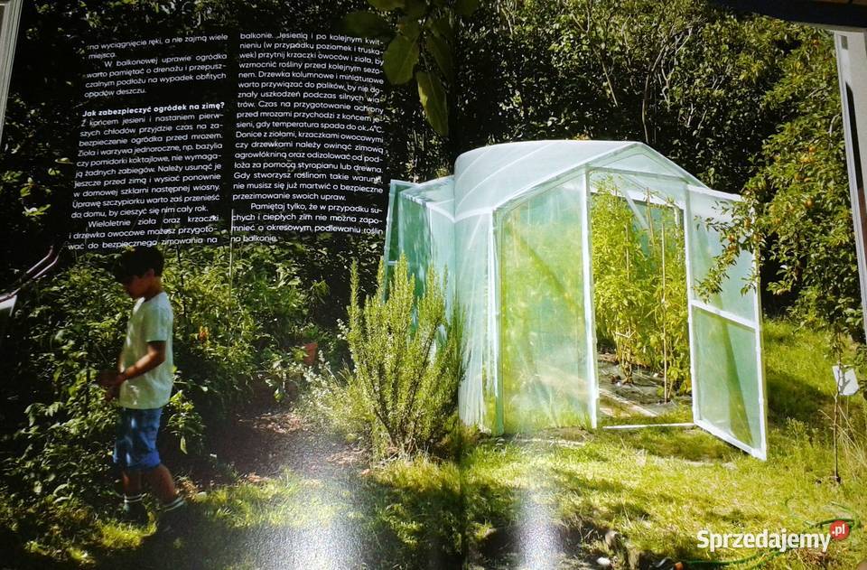 O domowym gotowaniu domowych sprawach i domowym Chełm sprzedam