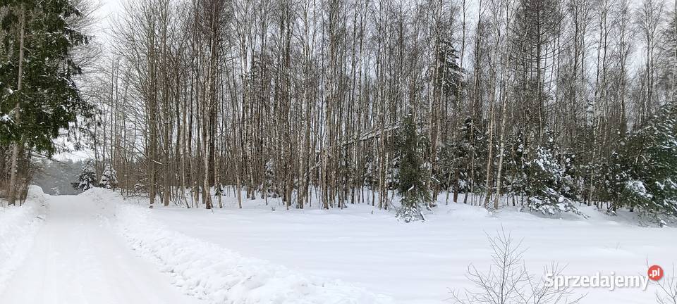 2 działki budowlane w Donimierzu k Szemuda Donimierz