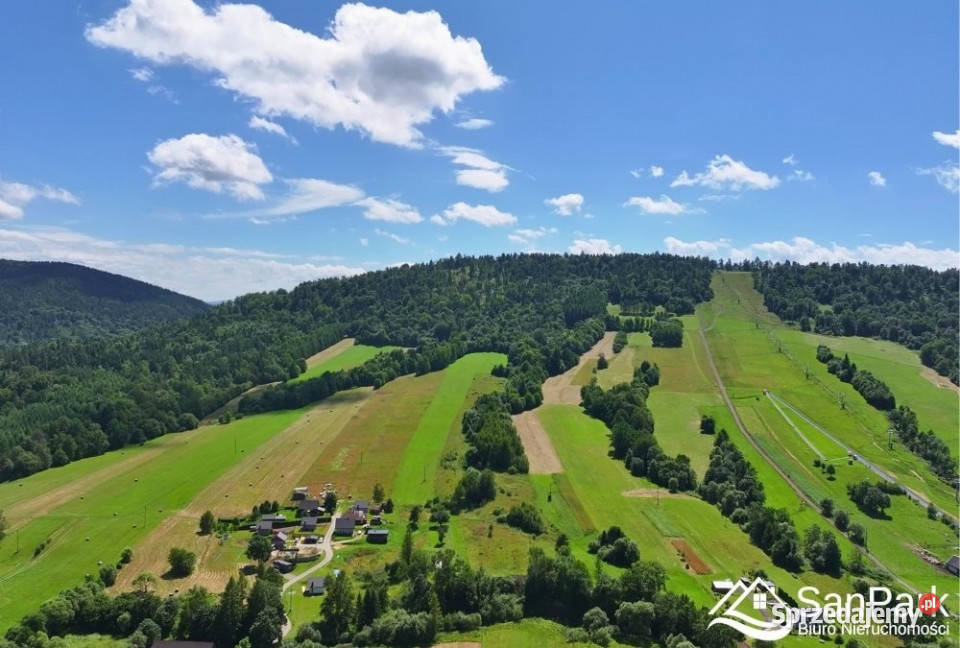 Działka Olszanica 22000m podkarpackie