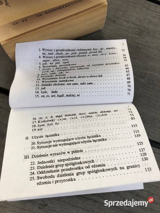 Literatura w pigułce zasady pisowni interpunkcji Poznań