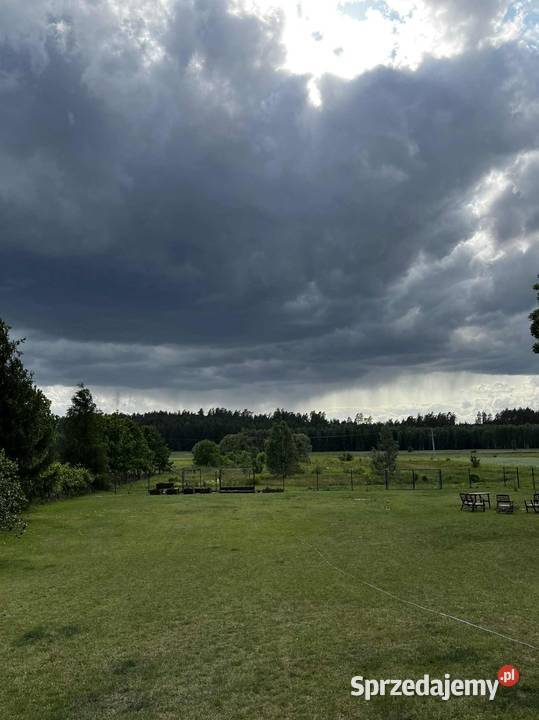 sprzedam dom siedlisko Liczba pokoi 4 Sprzedaż
