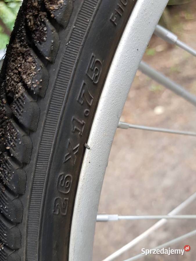 NowyZgrabnyDo pracyrekreacjiRower riksza ryksza Barlinek