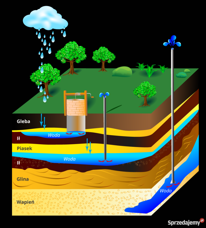 Studnia odwierty głębinowe hydroforowe abisynki Wschowa