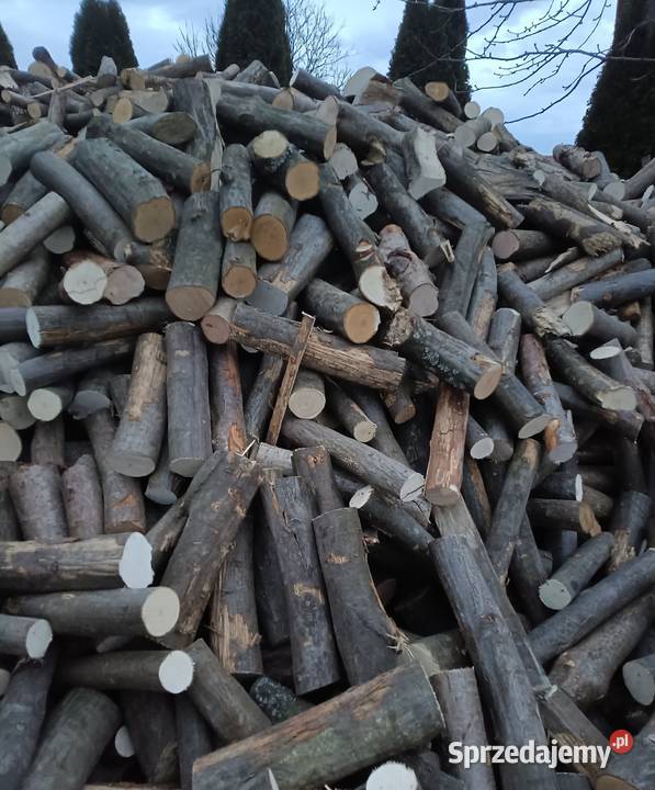 Drewno opałowe 160zl
