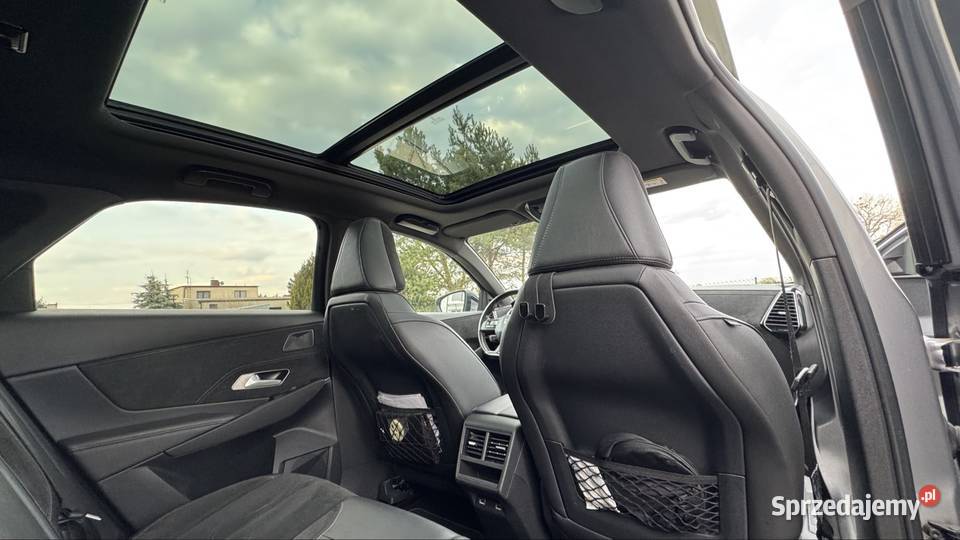 DS7 Crossback Performance Line 20 BlueHDi