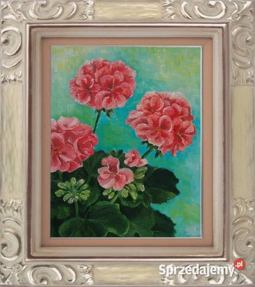 Obraz olejny Pelargonie Obrazki i obrazy Lublin