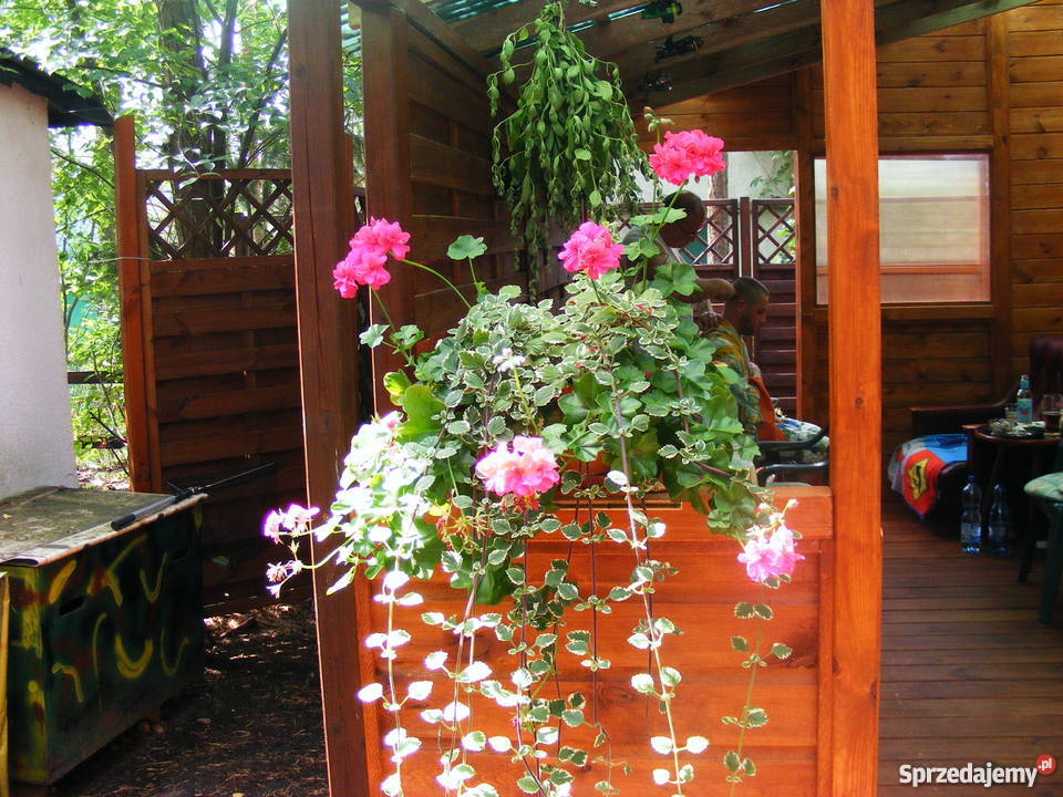 Domek letniskowy w Grzybowie do zamieszkania Grzybowo