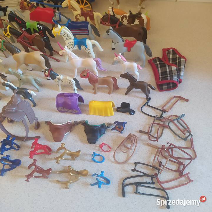 Figurki do zabawy Playmobil Gdańsk