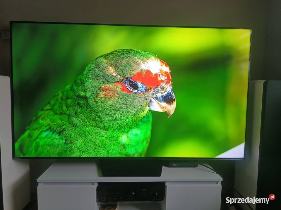 Hisense 75U7NQ 75 Piotrków Trybunalski