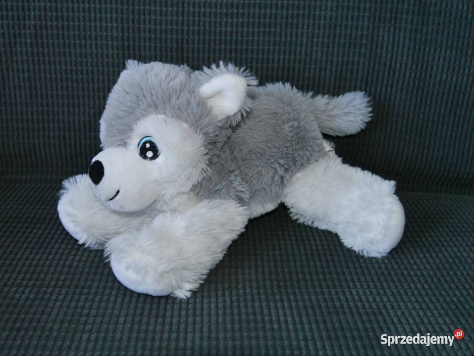 Maskotka piesek husky nowy Wrocław