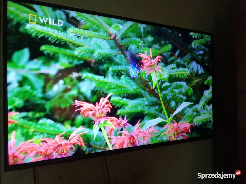 Panasonic TX55GX550E 4k smart tv 2019r stan Grudziądz