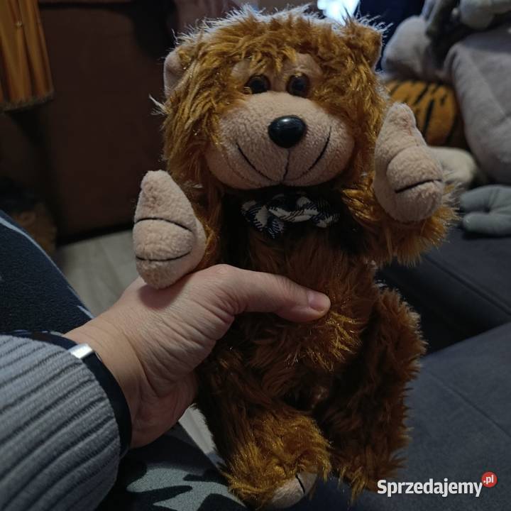 pluszowa zabawka małpka Poznań