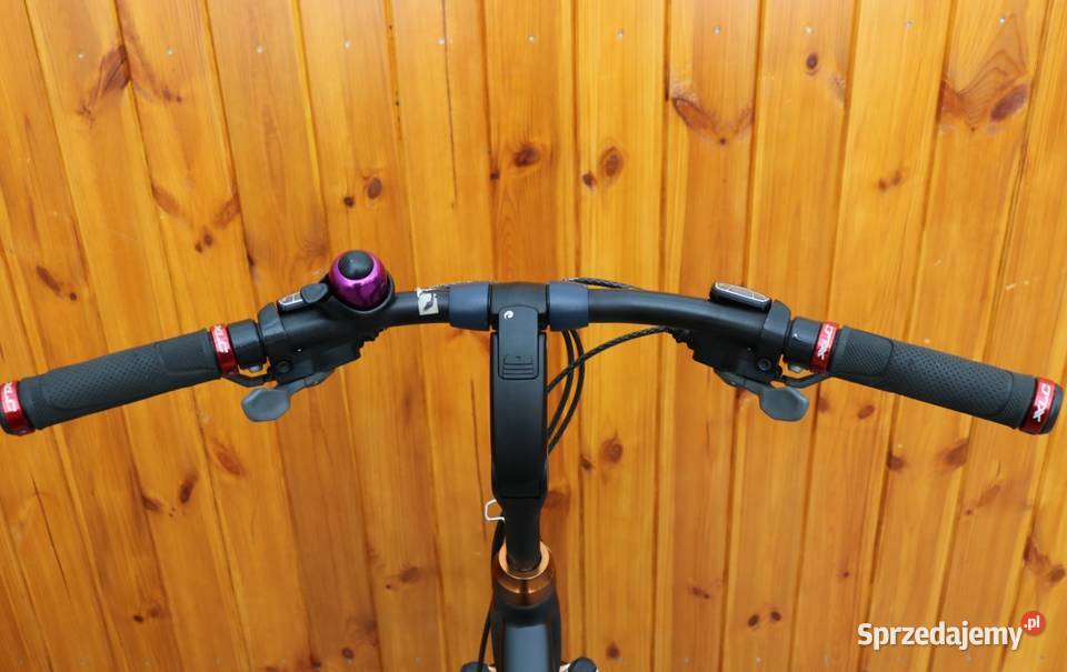 Rower damski Batavus Gavia D 55 I inne rowery z Milanówek