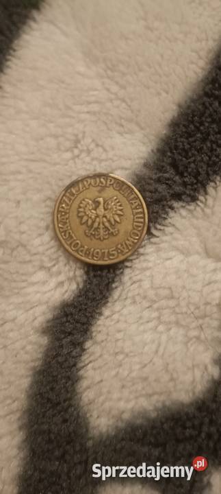 Monety PRL i Inne Oleszna